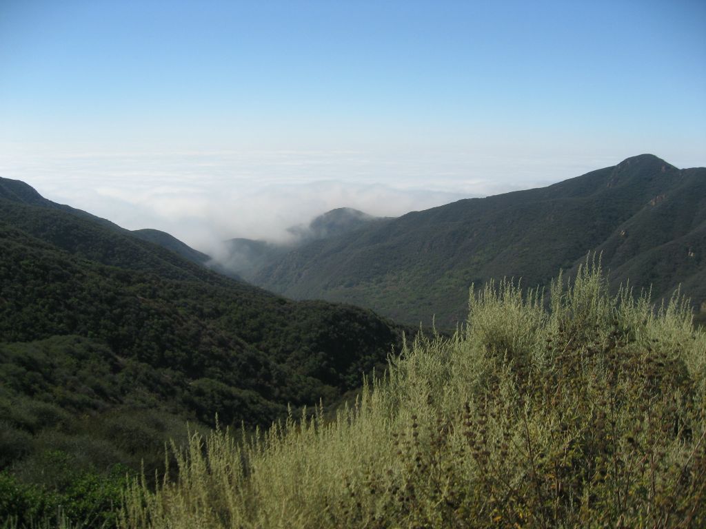 Near Parker Mesa Overlook